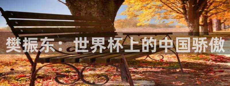 世界杯足球2026:樊振东:世界杯上的中国骄傲