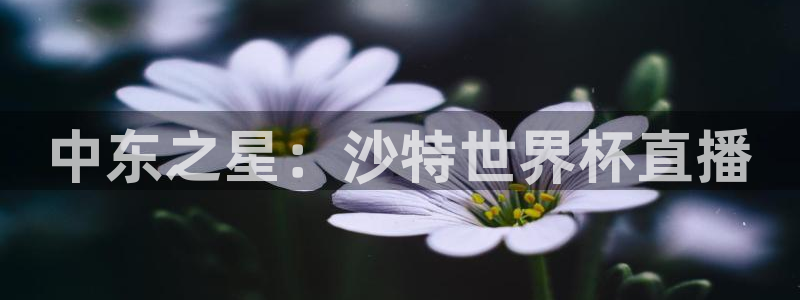 世界杯直播网站:中东之星:沙特世界杯直播