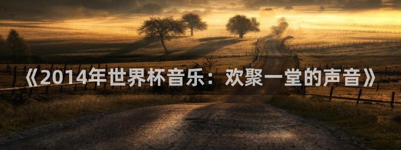 世界杯球赛:《2014年世界杯音乐:欢聚一堂的声音》