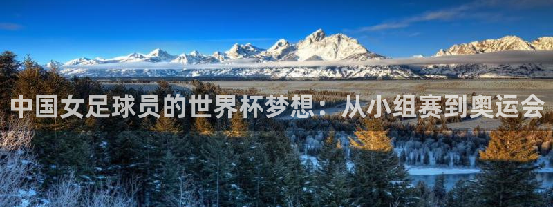 2026男足世界杯赛程:中国女足球员的世界杯梦想:从小组赛到奥运会